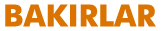 bakirlarkuruyemis.com